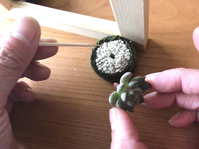 多肉植物の麻ひも玉のつくり方
