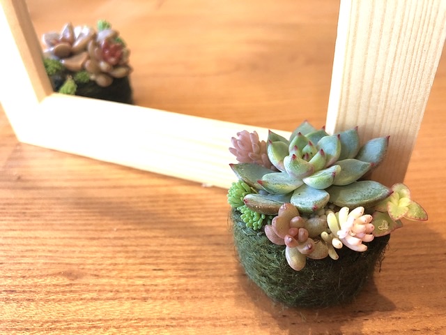 多肉植物の麻ひも玉のつくり方