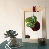 簡単DIY！吊るしてかわいい「多肉植物の麻ひも玉」をつくってみようの画像