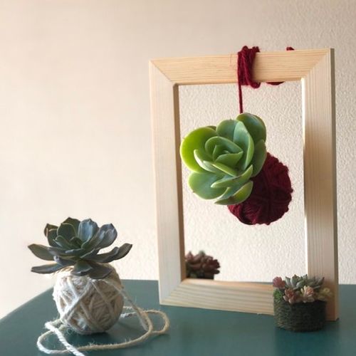 簡単DIY！吊るしてかわいい「多肉植物の麻ひも玉」をつくってみよう