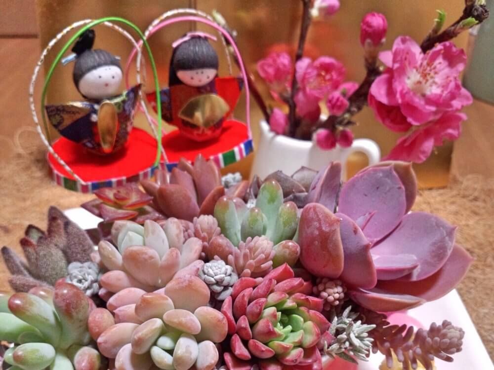 ひなまつりアレンジ