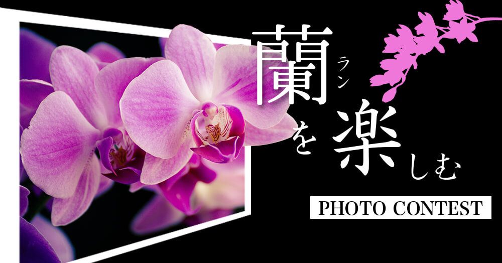 ランを楽しむフォトコン