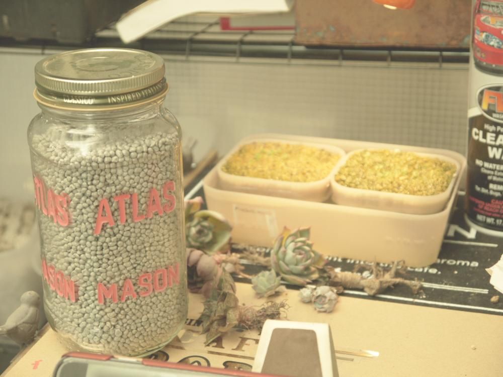 肥料 by みーさん