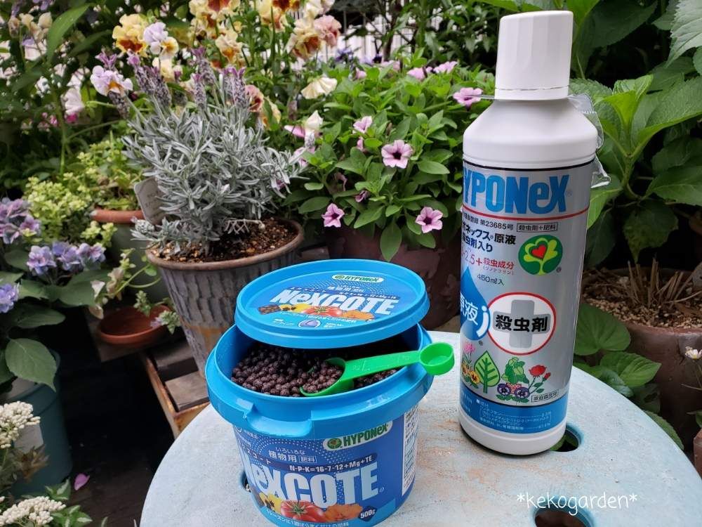 肥料 by kekogarden