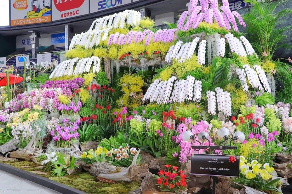 世界らん展　2020