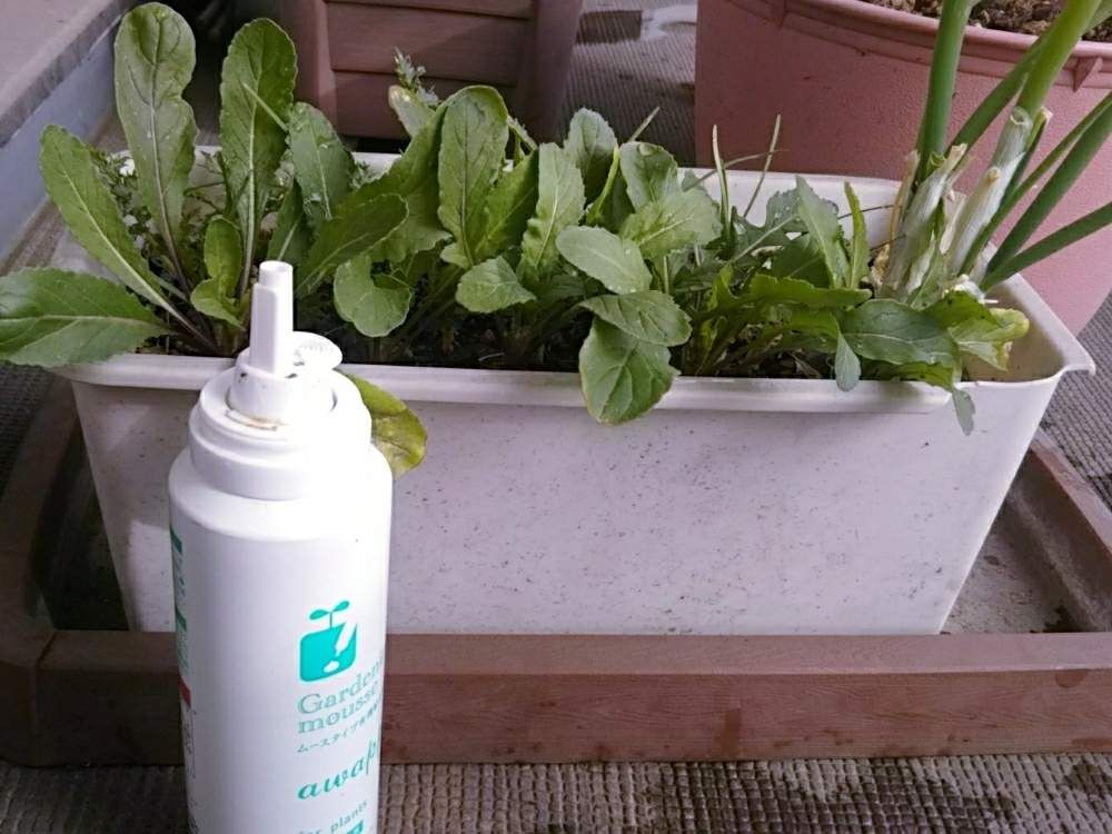 肥料 by りえやま