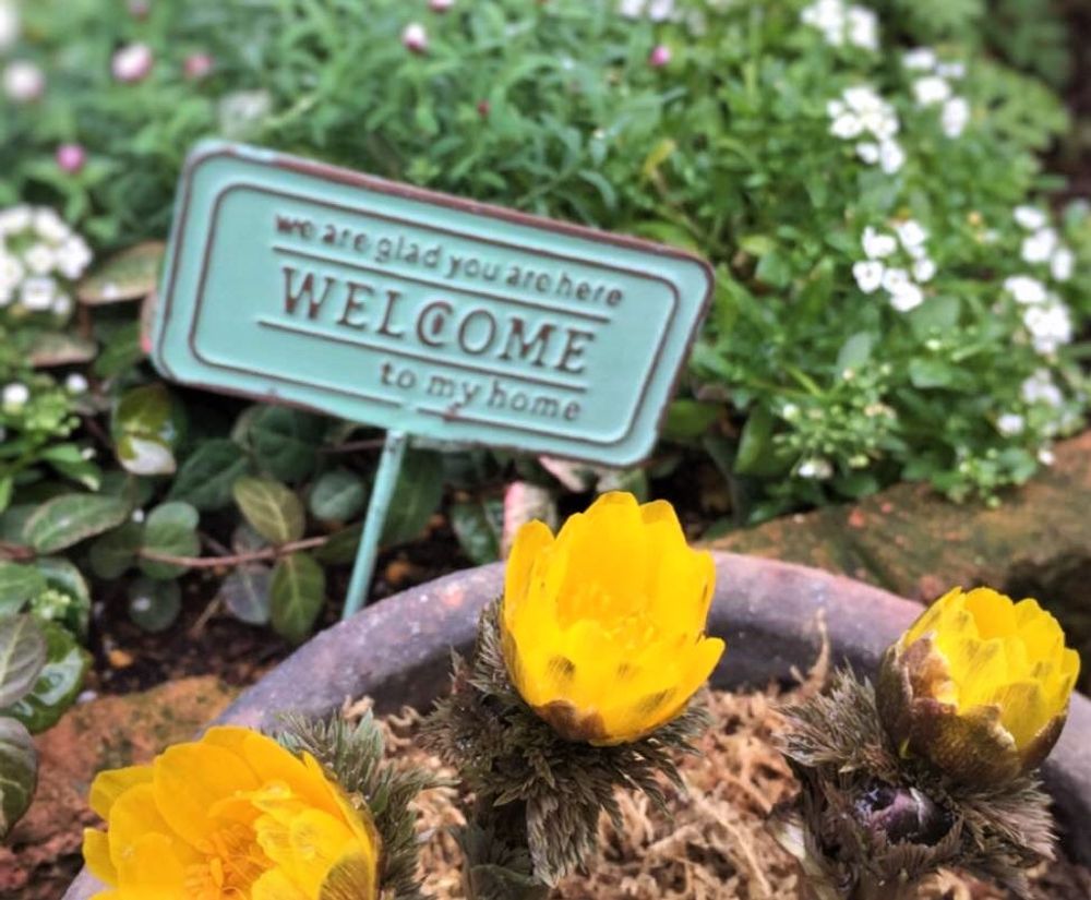 花壇　photo by　ゆかぴ