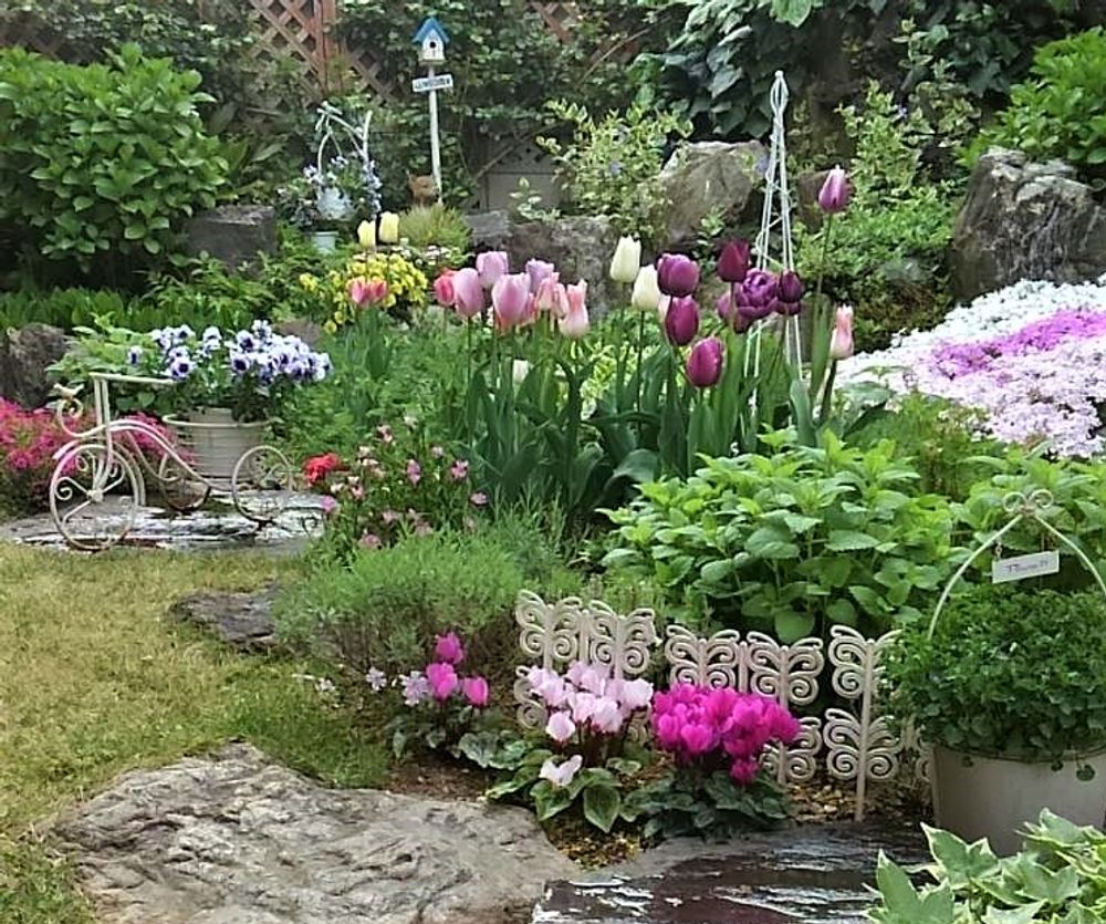 ガーデニング　photo by　美遊宇