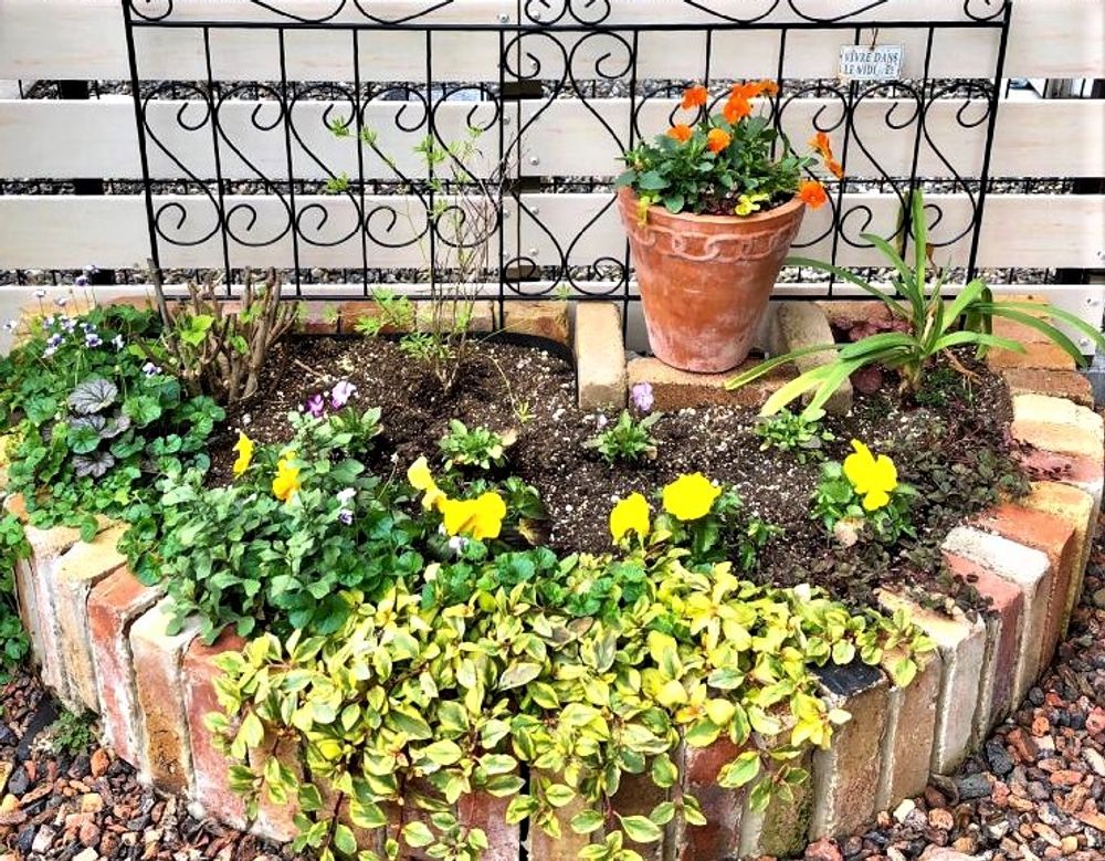 ガーデニング　photo by　⁂akiko⁂