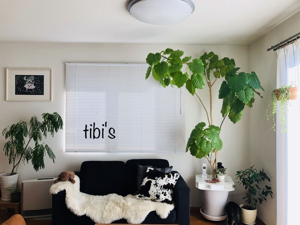 インテリアグリーン