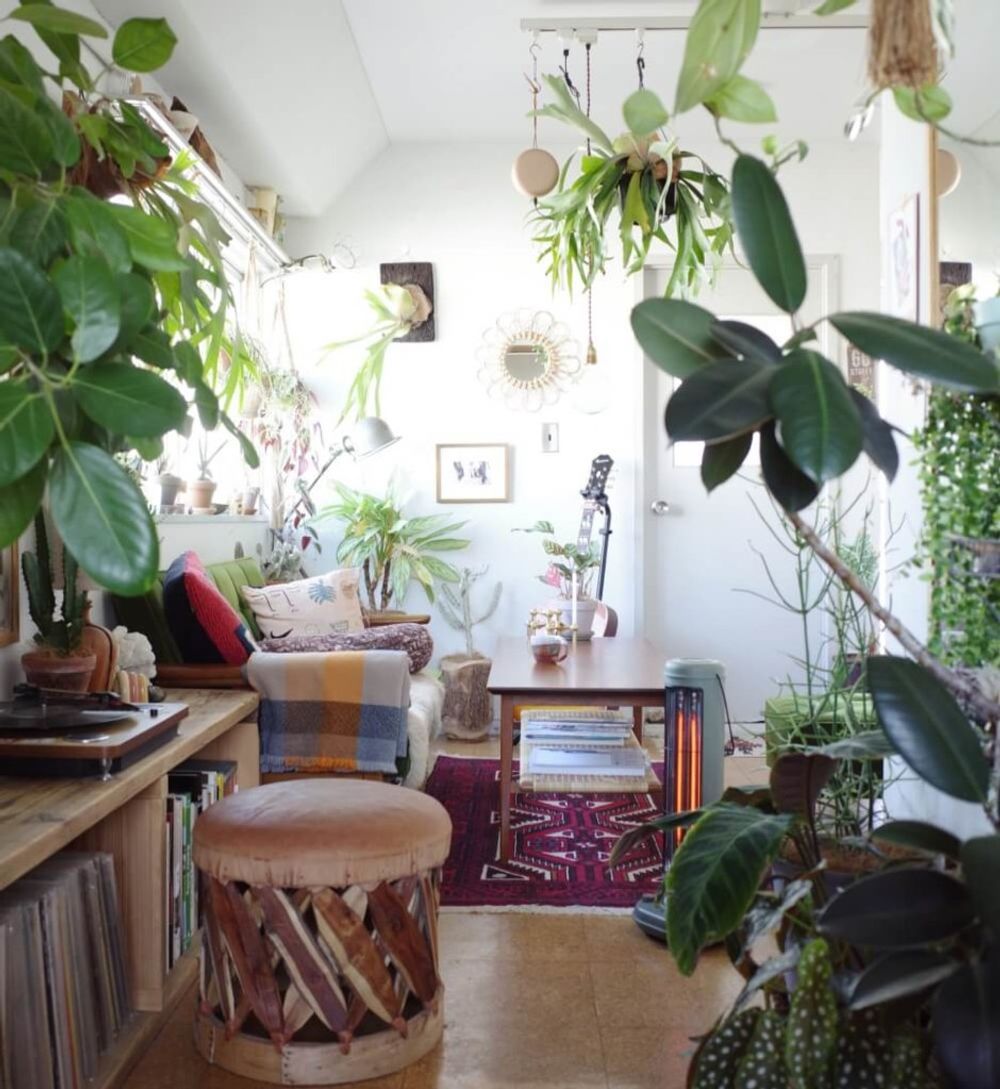 インテリアグリーン