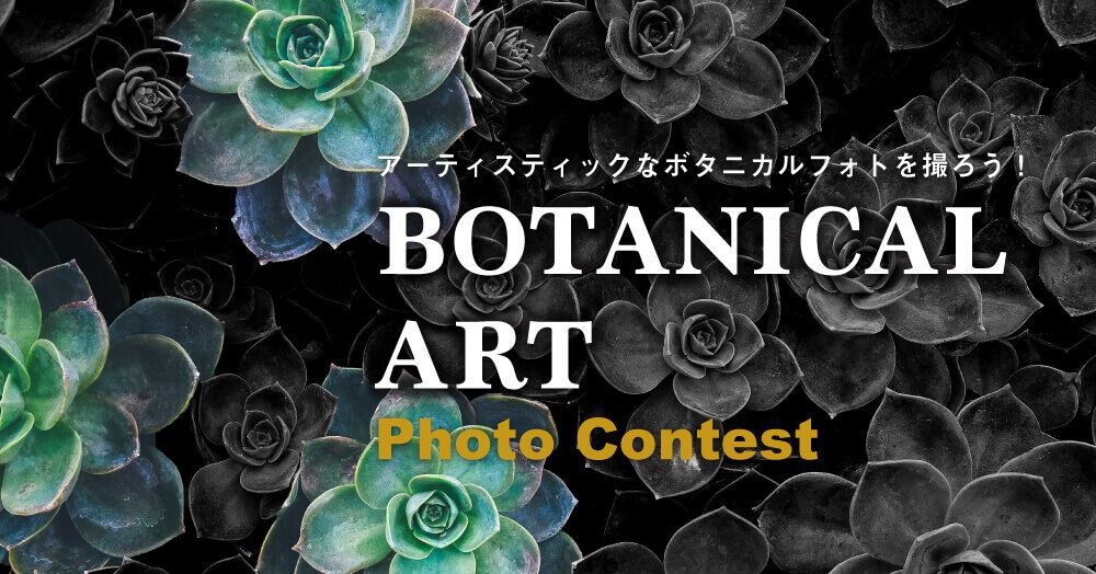『アーティスティックなボタニカルフォトを撮ろう！』フォトコンテスト