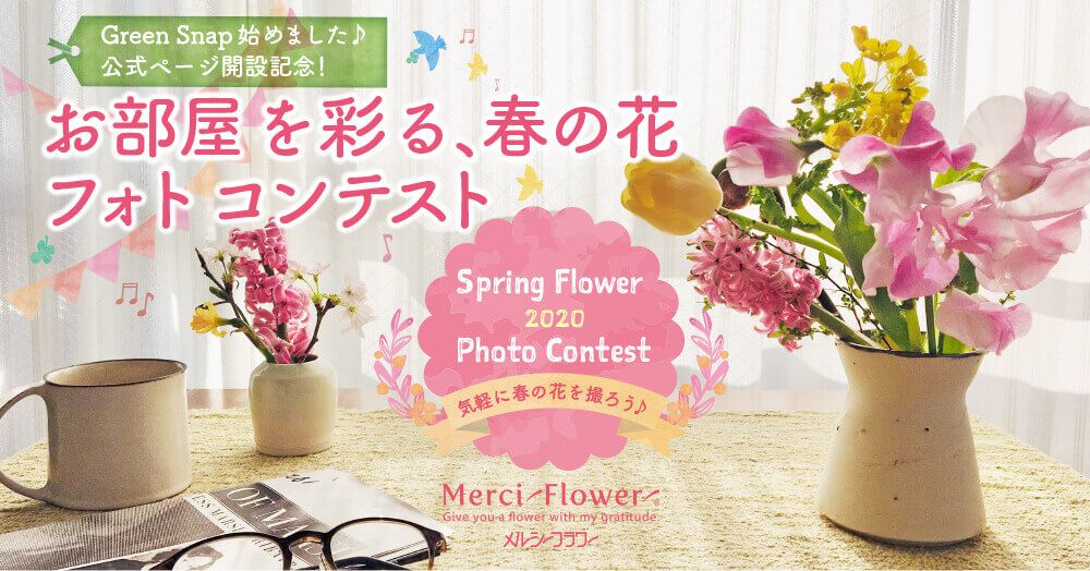 『お部屋を彩る、春の花』フォトコンテスト 
