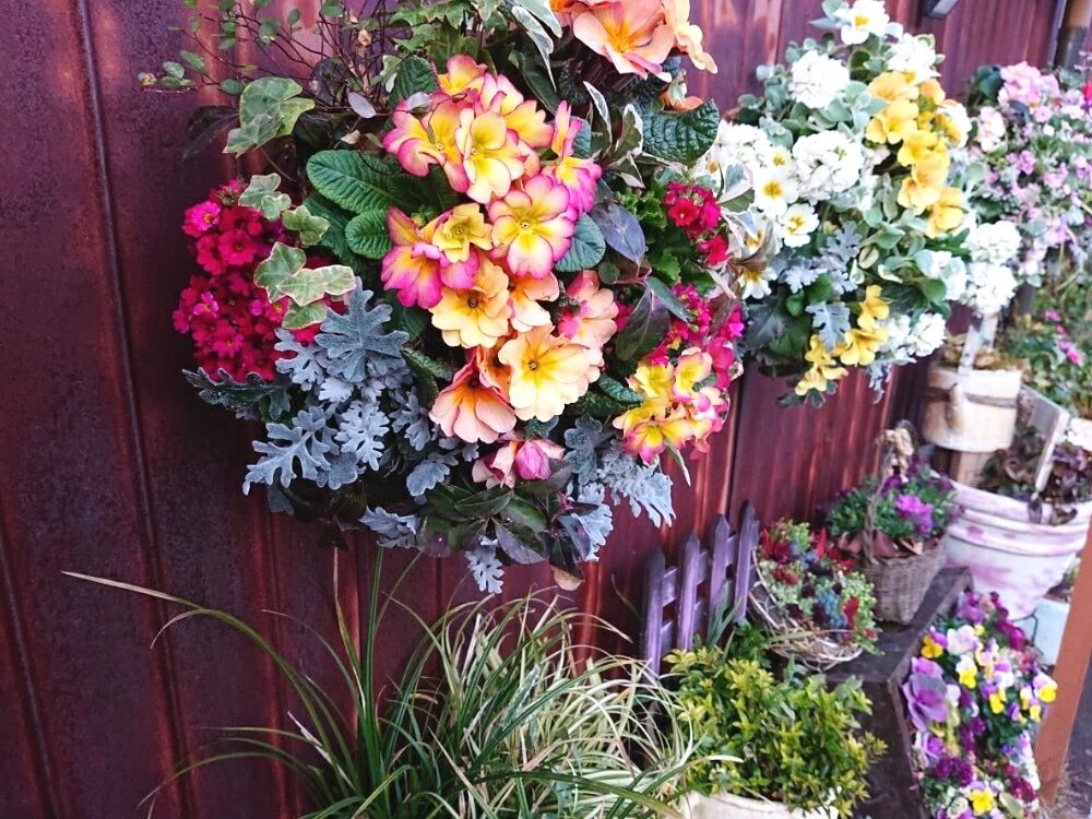 ハンギング　ガーデニング