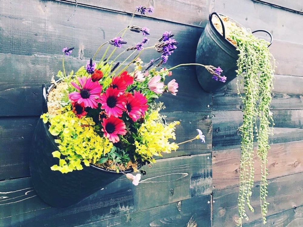 寄せ植え　ハンギング