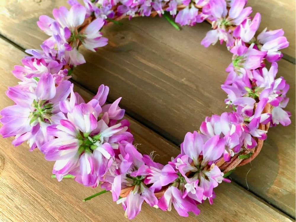 花かんむり　レンゲソウ