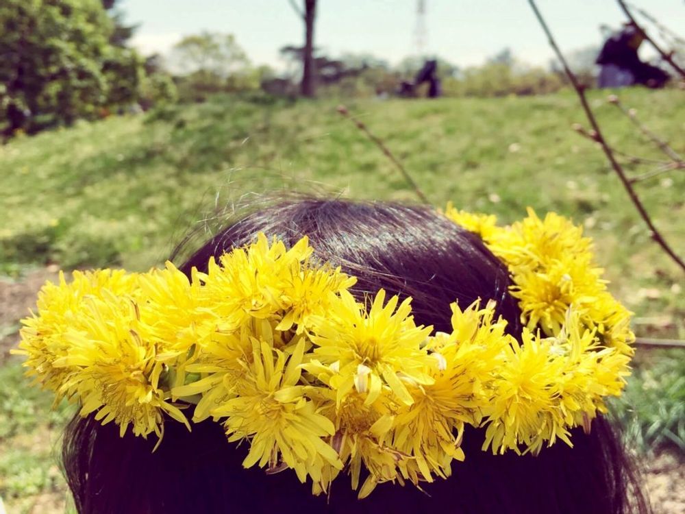 たんぽぽ　花かんむり
