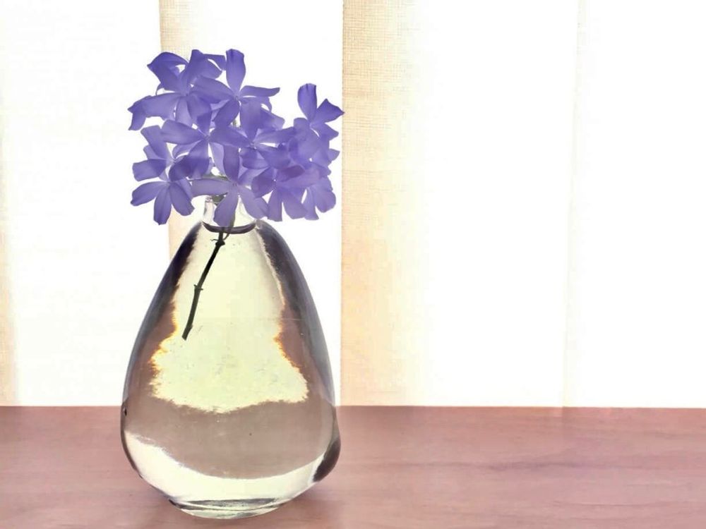 ルリマツリ　一輪挿し