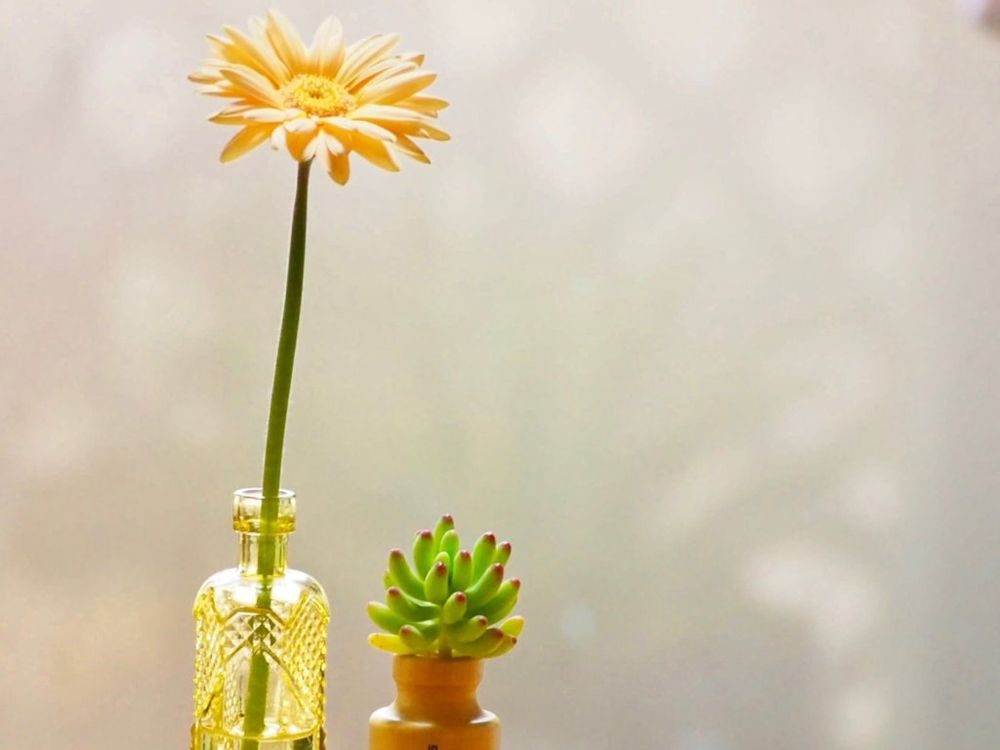 一輪挿し ガーベラ