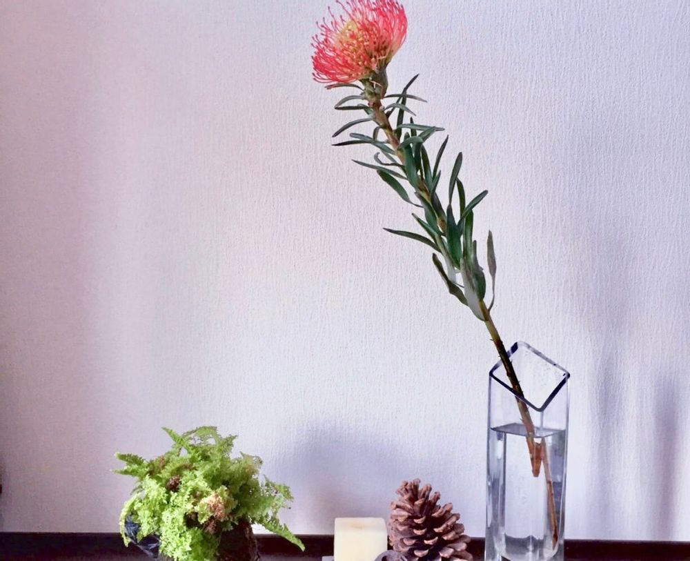 一輪挿し　ピンクッション