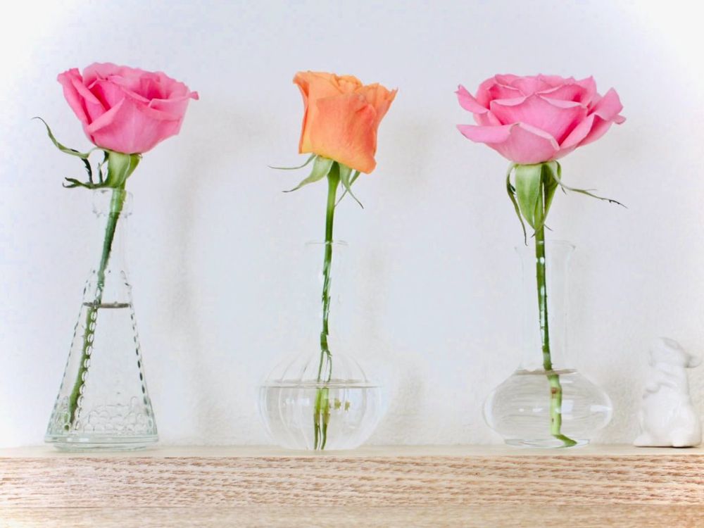 一輪挿し　バラ　薔薇