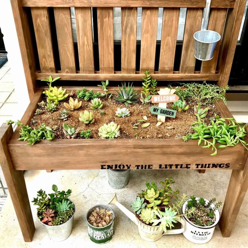 セダム椅子　多肉寄せ植え　多肉植物