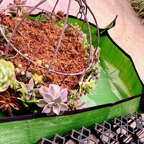 安くてお手軽 100円ショップで手に入る家庭菜園アイテム8選 Greensnap グリーンスナップ