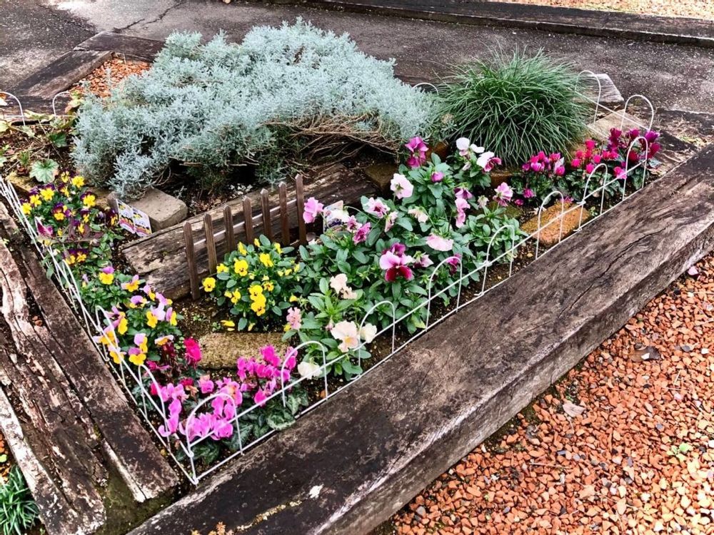 100円ショップ　フェンス　ガーデニング