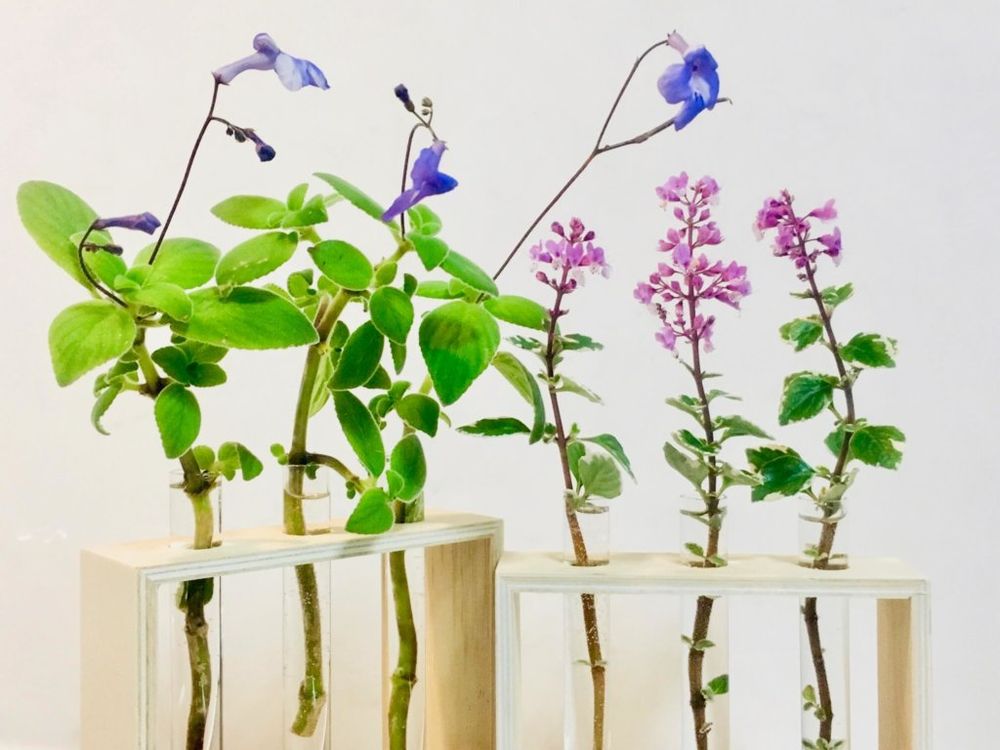 花器　100円　試験管