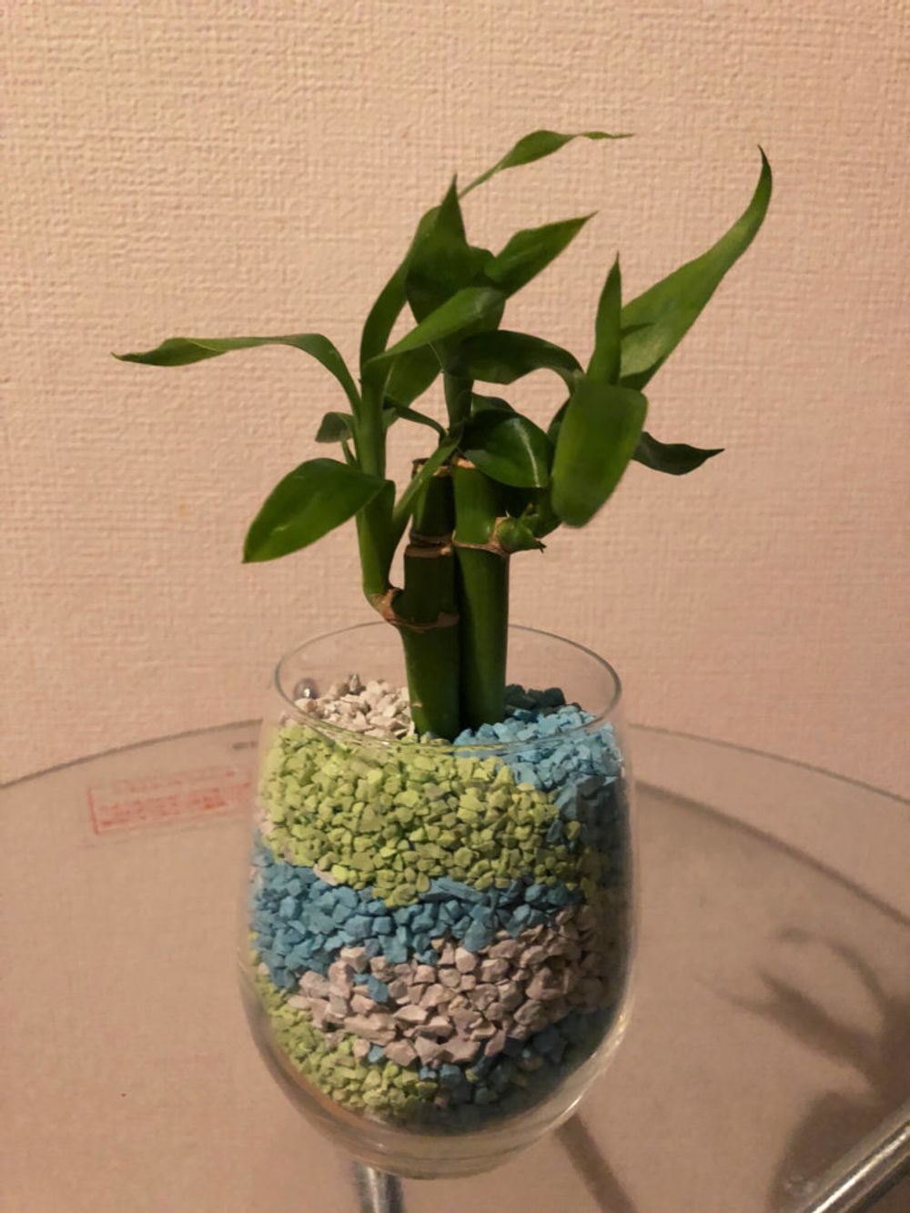 ミリオンバンブー