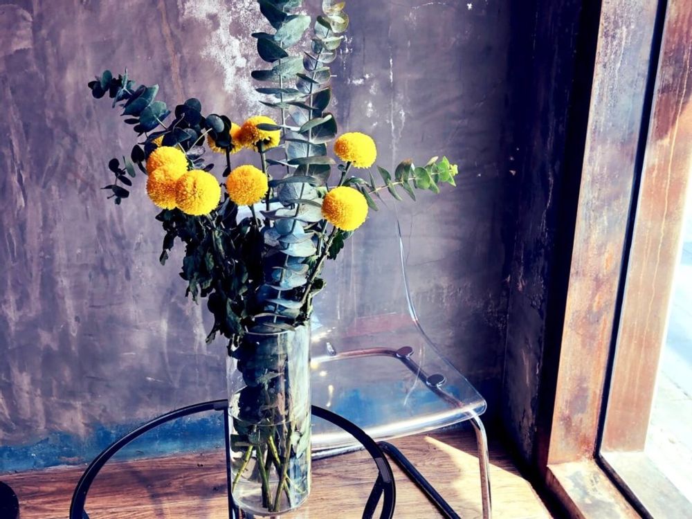 ピンポンマム　和モダン