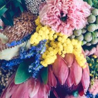 暑くても長持ち！アレンジの主役になるワイルドフラワーってどんな花？の画像