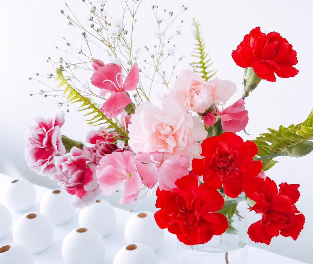 母の日に贈る花8選 なぜカーネーション 花束や鉢植えにおすすめの花は Greensnap グリーンスナップ