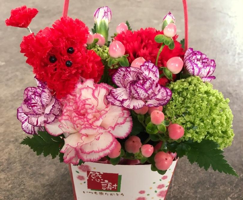 母の日に贈る花8選 なぜカーネーション 花束や鉢植えにおすすめの花は Greensnap グリーンスナップ