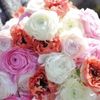 ラナンキュラスの花言葉｜怖い意味はある？花束をプレゼントするときの注意点は？の画像