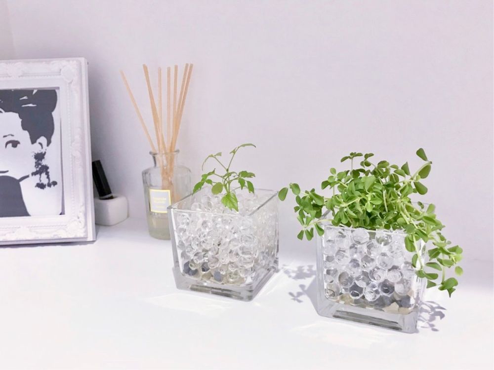 ジェルポリマー