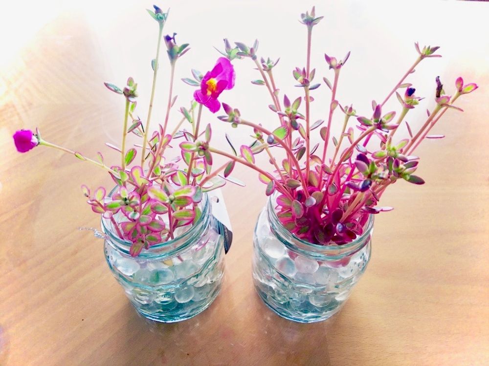 ジェルポリマー