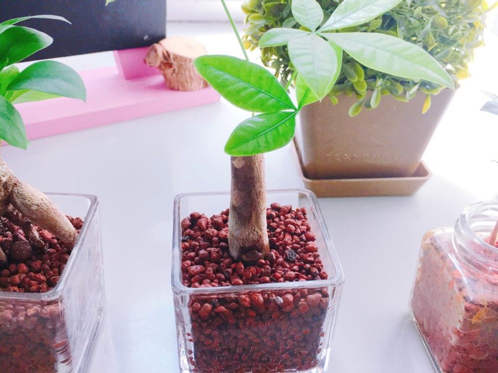 ハイドロボール