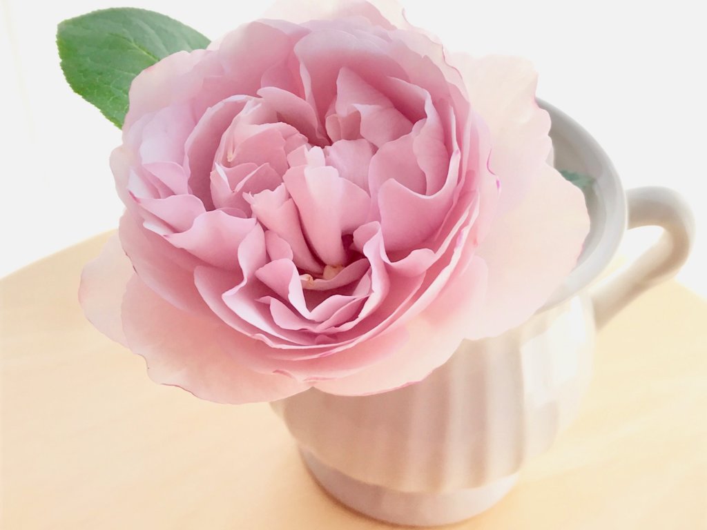 簡単チャレンジ 風水的にいいお花と花瓶の組み合わせとは Greensnap グリーンスナップ