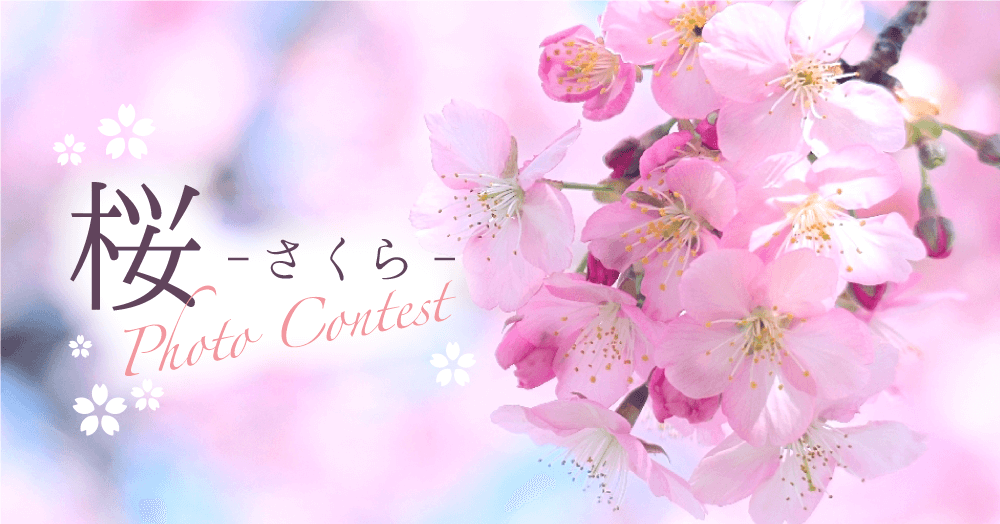『2020桜』フォトコンテスト