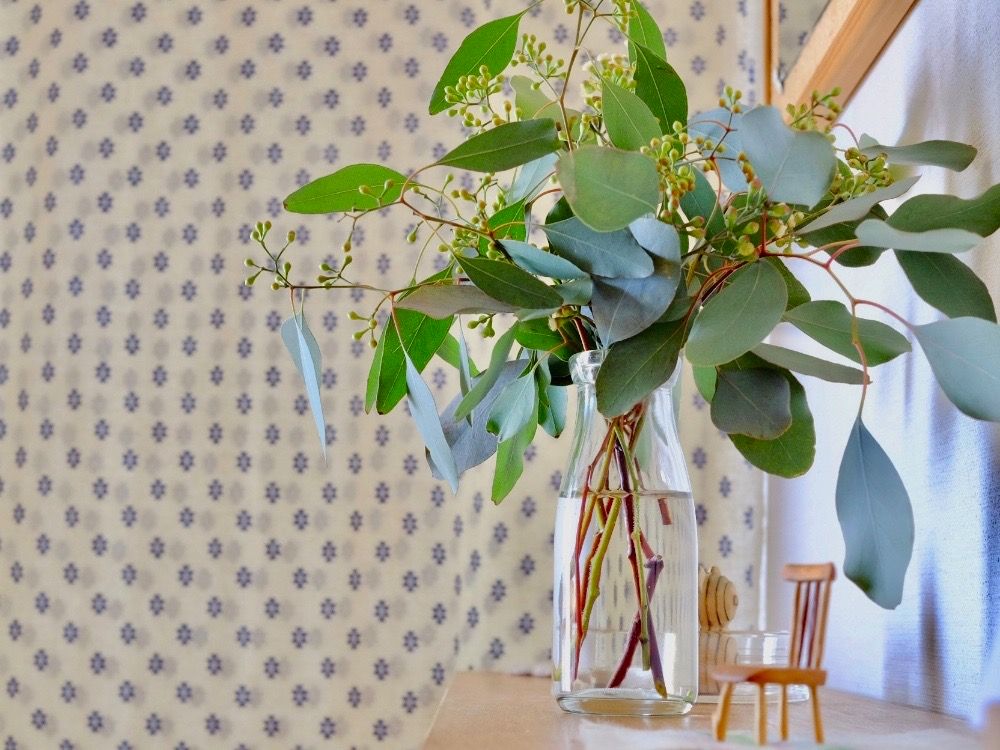 ユーカリポポラス　花瓶　枝もの