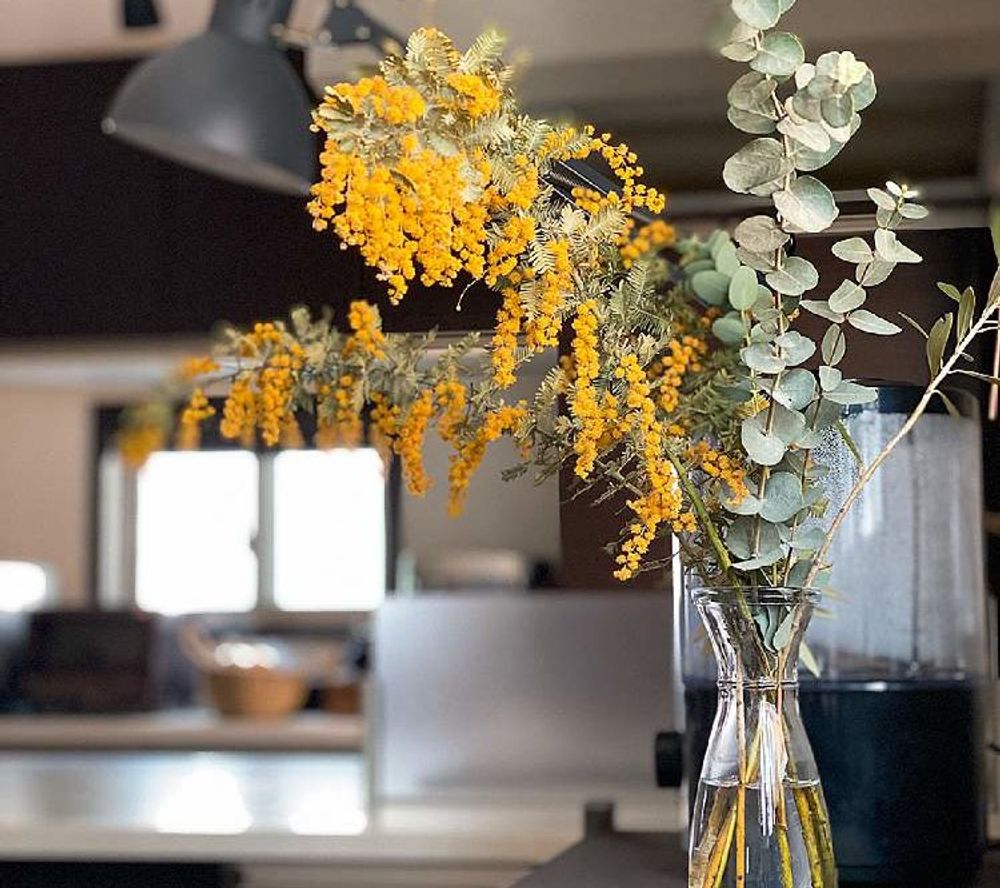 ミモザ　テーブル