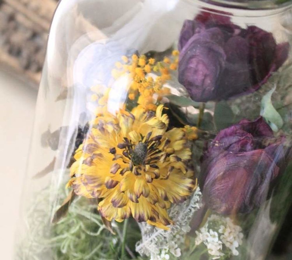 ミモザ　ドライ