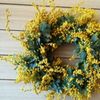 3月8日はミモザの日！ミモザの花をリースやスワッグにして飾ろう♫の画像