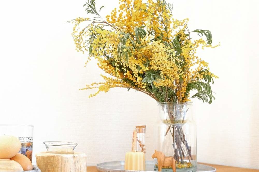 ミモザ ドライフラワー 8g ミモザ ドライフラワー 8g ミモザ」のドライフラワーの作り方と