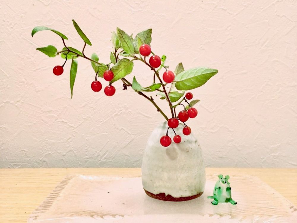 ヒヨドリジョウゴ　枝もの　花瓶