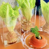 スーパーで買った野菜が再び育つ？再生栽培できる野菜10選の画像