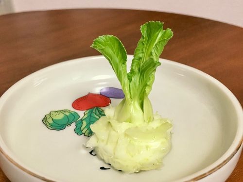 スーパーで買った野菜が再び育つ 再生栽培できる野菜10選 Greensnap グリーンスナップ
