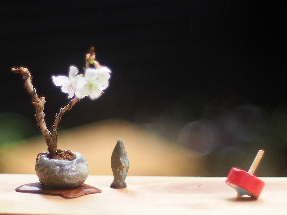 盆栽　ミニ盆栽