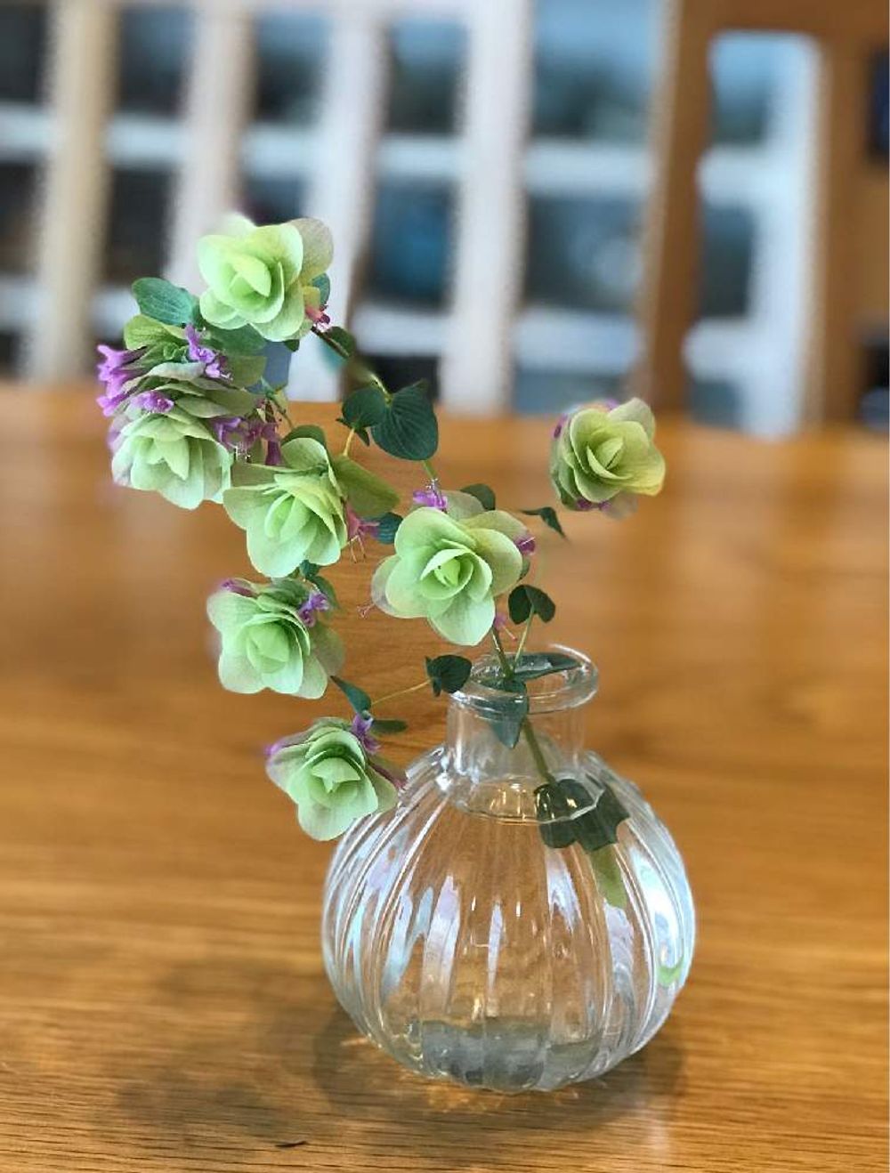 ガラス　オレガノ